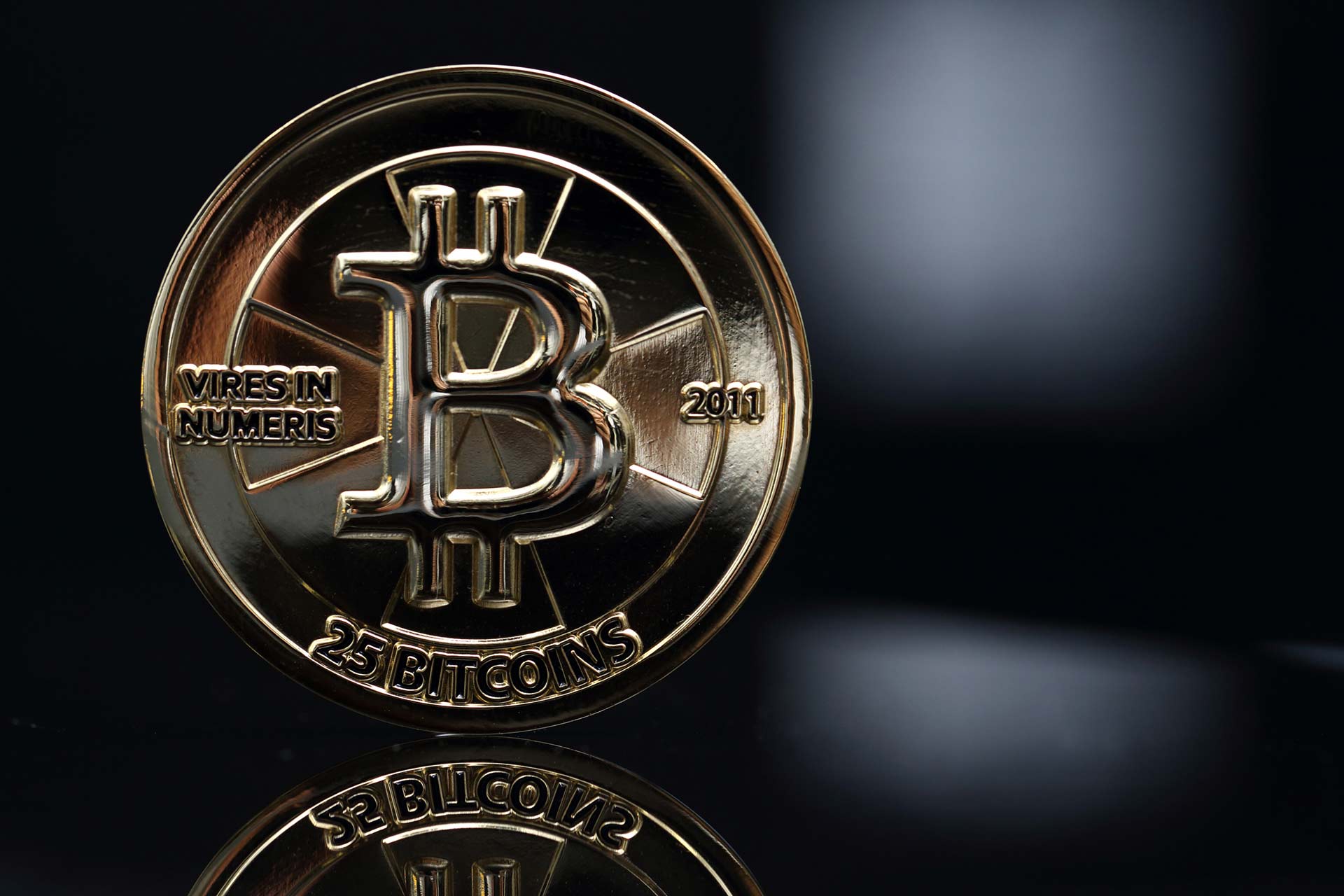 cryptocurrency mlm software