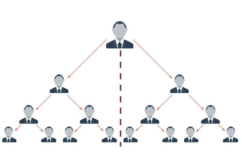 mlm-binary-plan fine-mlm-binary